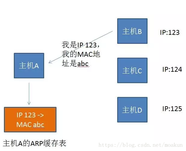 arp1